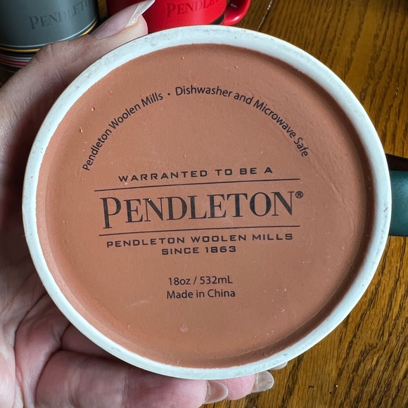 Pendleton Colorful Ceramic Mug Set - Picture 4 of 4